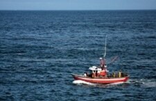 Top chefs back Gulf Coast seafood as BP Oil spill continues